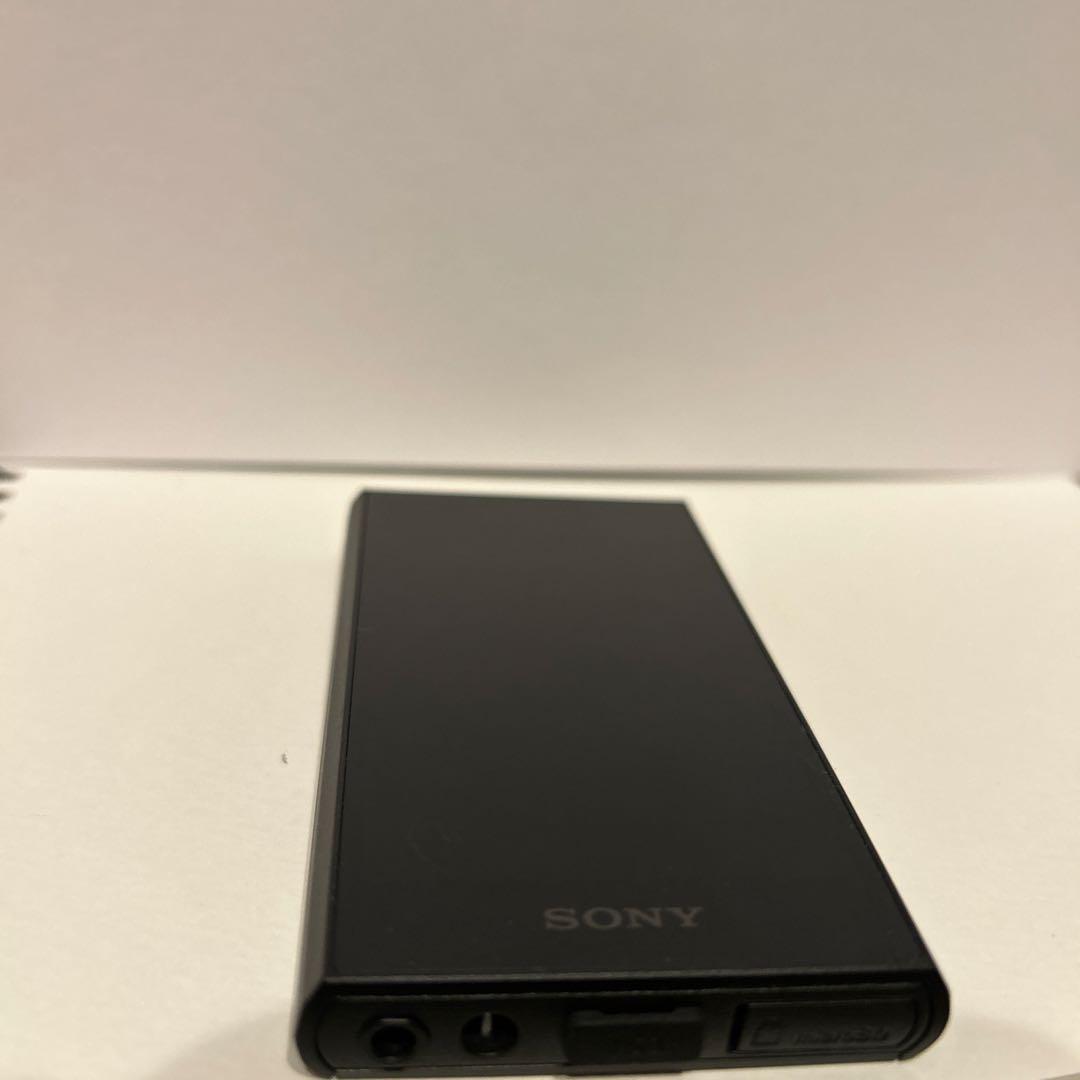 NW-A306 デジタルオーディオプレーヤー ケースsdカード128GB付き