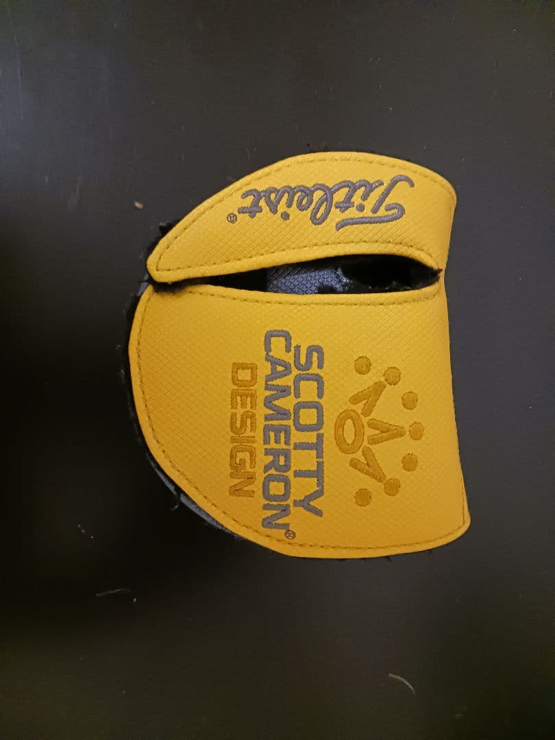 Scotty Cameron Phantom X 5.5 パター