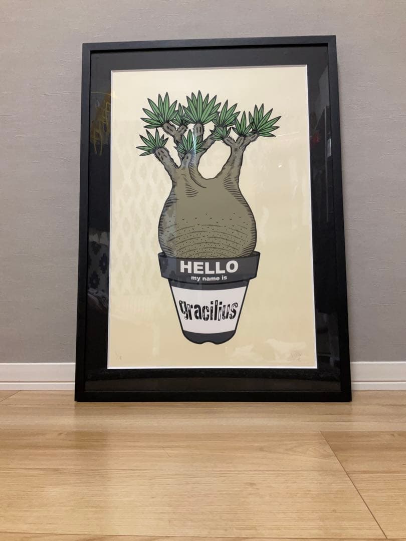 GIRUVI 「Grow on the Wall」Gracilius