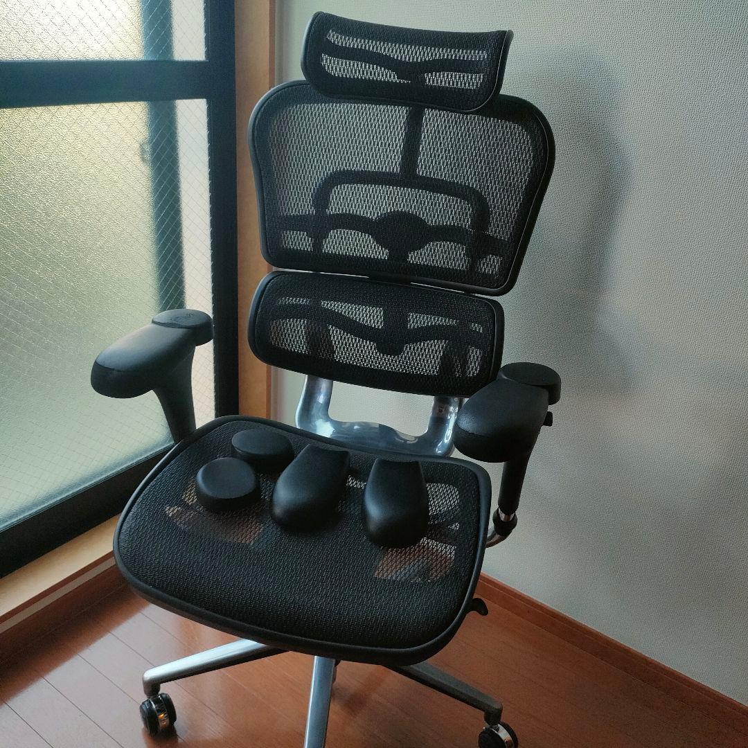 Ergohuman ベーシック ブラック