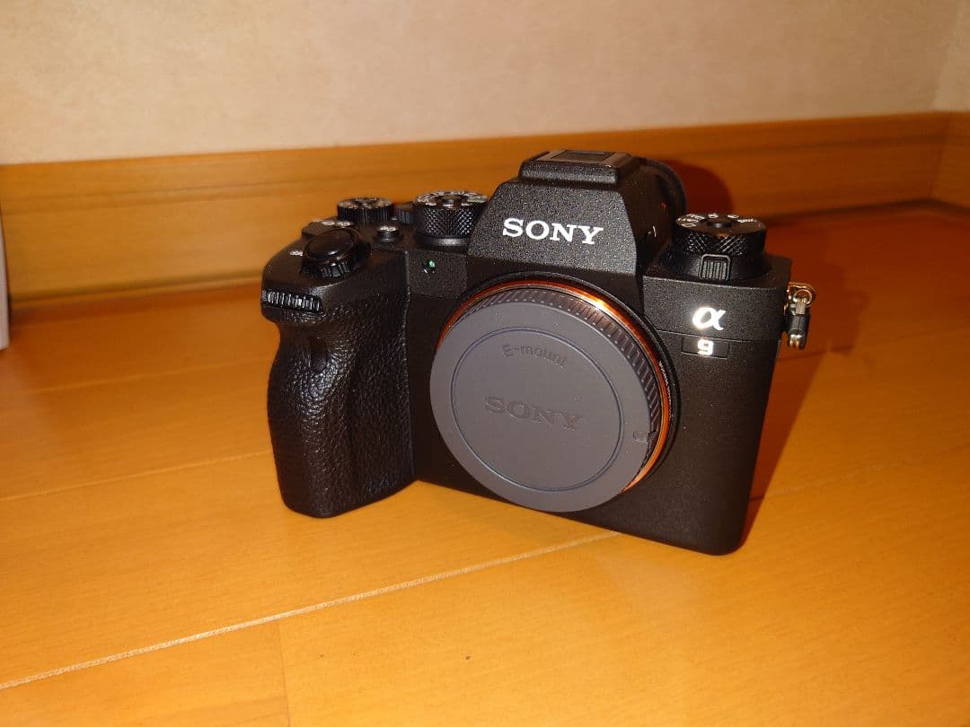SONY α9 II ボディ ILCE-9M2縦位置グリップVG-C4EM