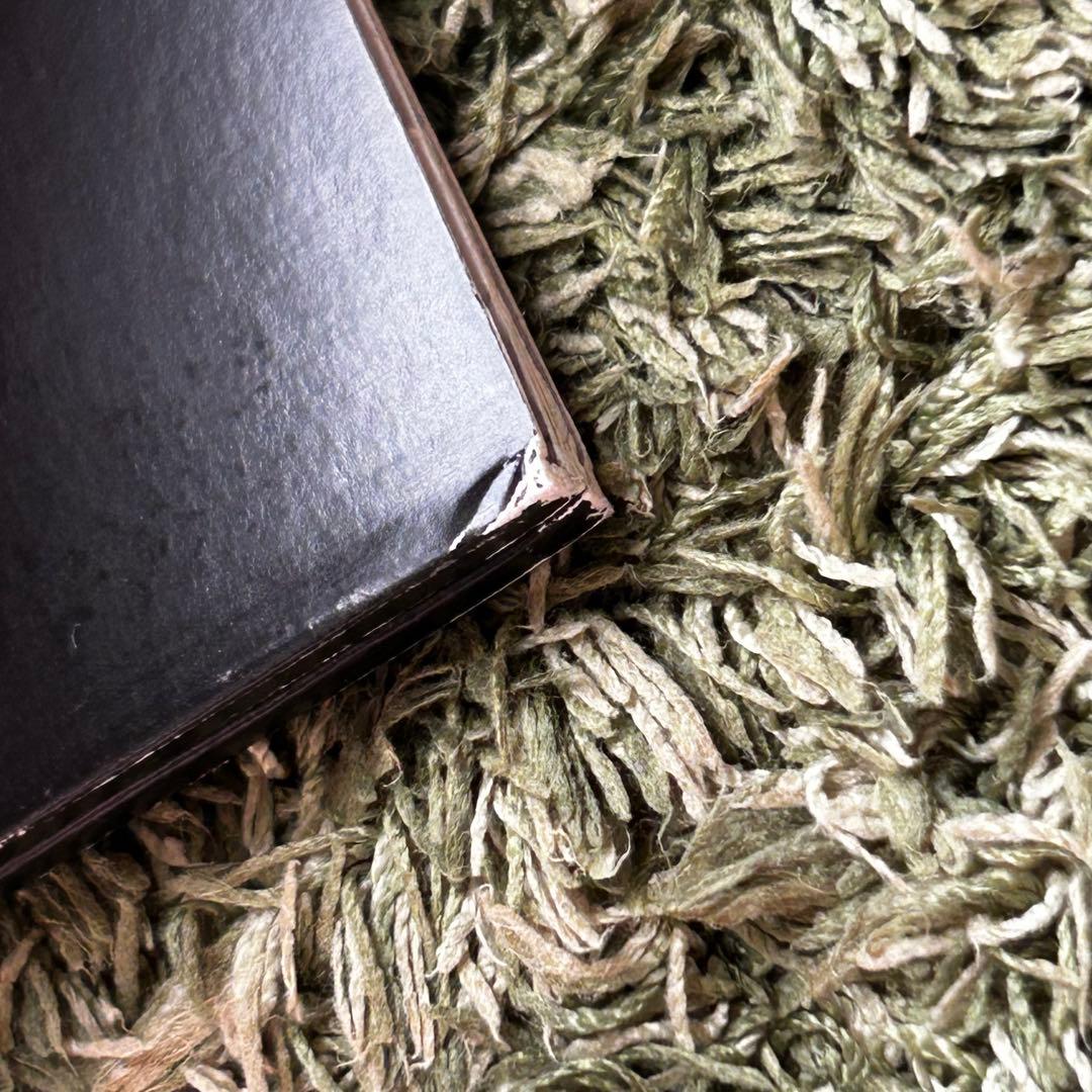 Frank Ocean Blond XL正規盤