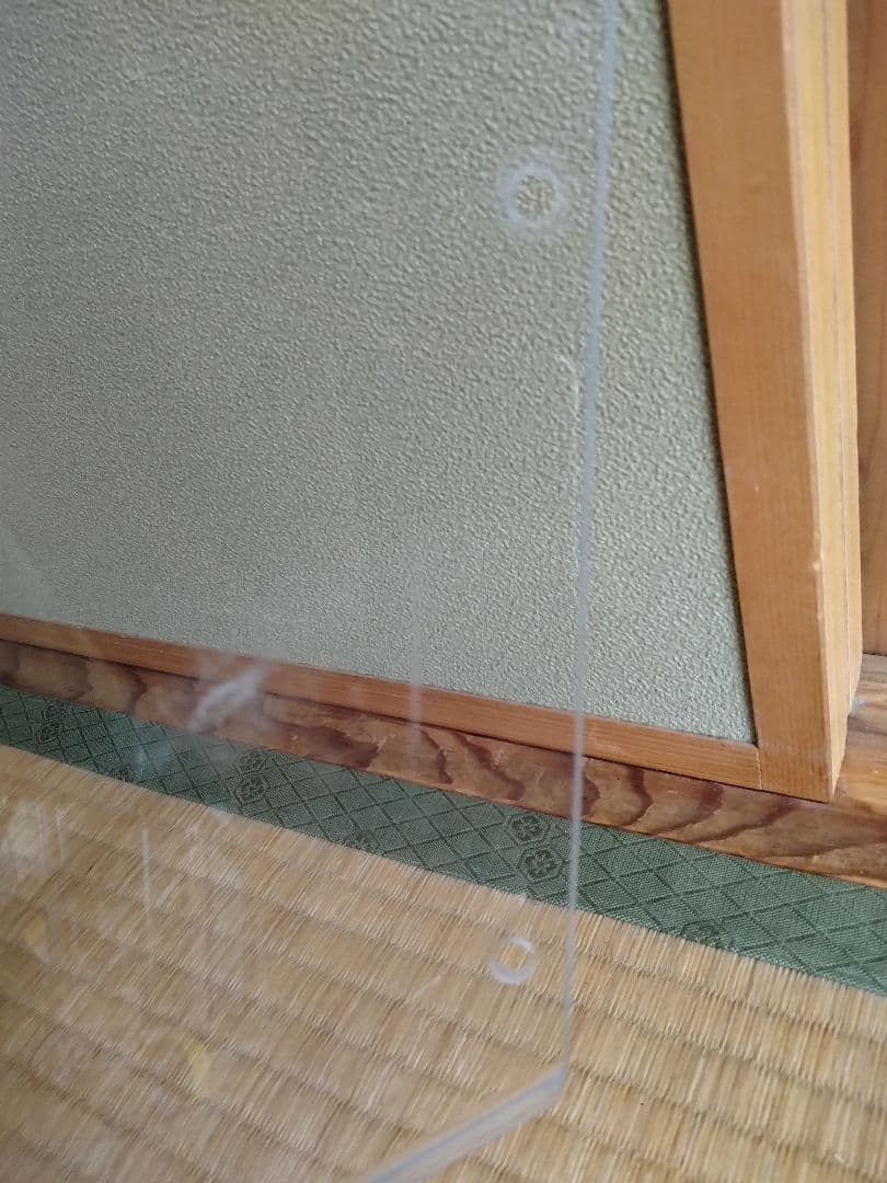 マグザム　デイトナ製ロングスクリーン