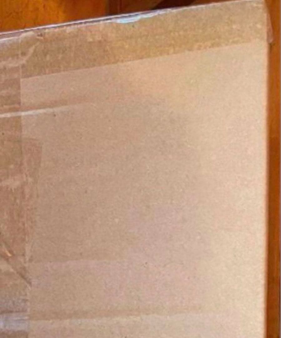 掃除機　サイクロン式　コード式　パワフル掃除機