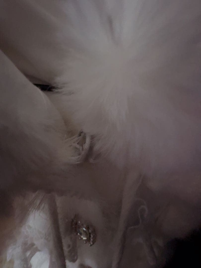 LIZLISA ミルフィーユレースポンチョ ホワイト