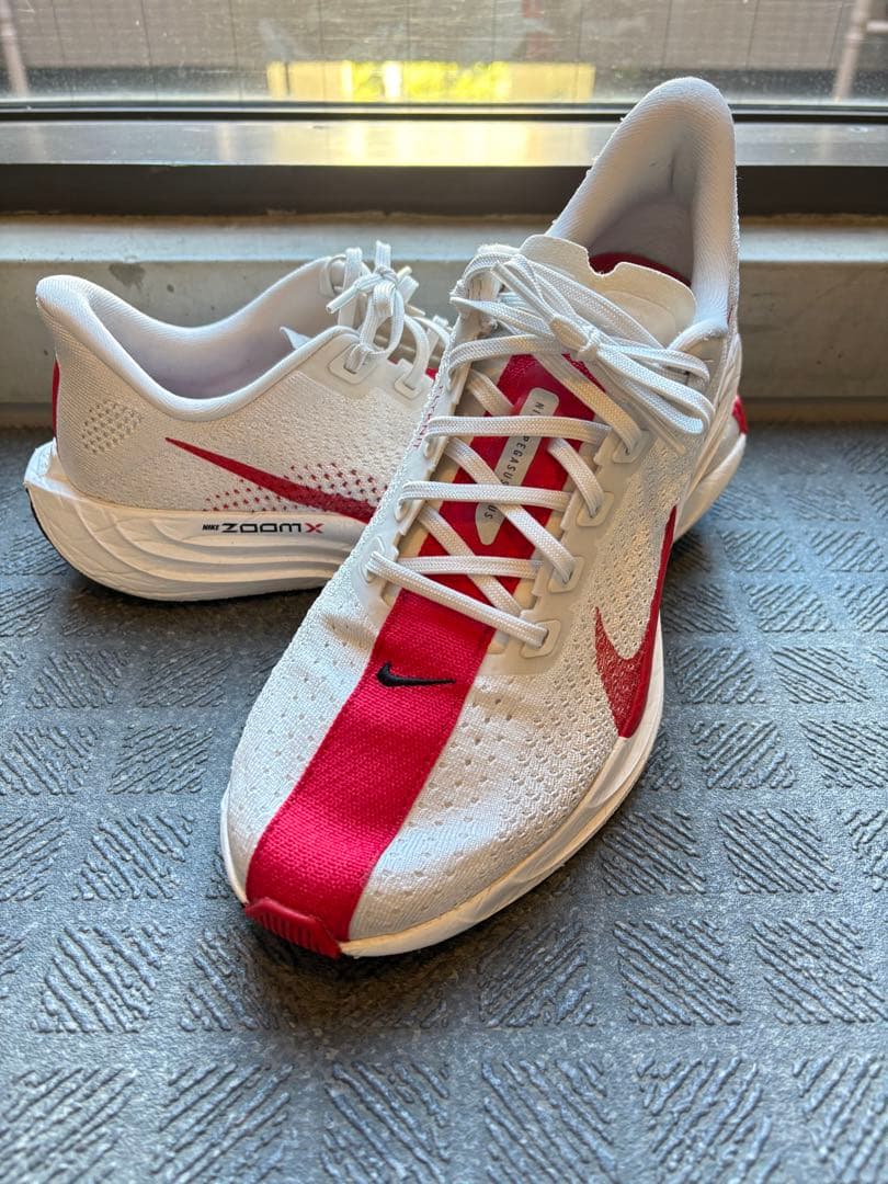 【26.5センチ】美品　Nike ペガサスプラス