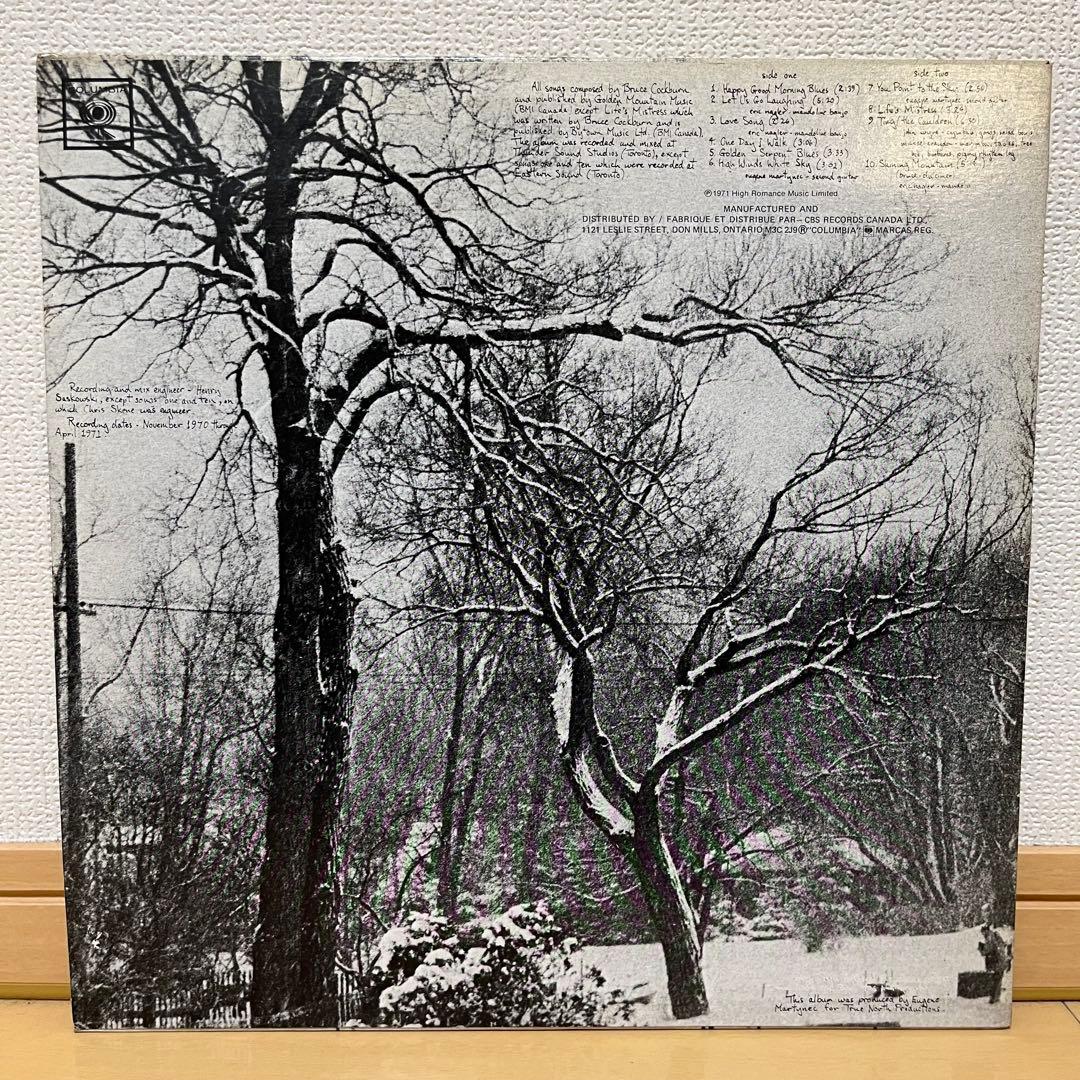 レコード SSW名盤 Bruce Cockburn フォーク レアグルーヴ LP