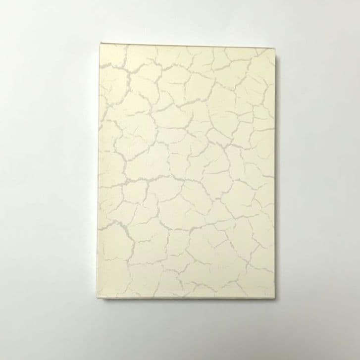 渇き。プレミアム・エディション DVD2枚+CD1枚