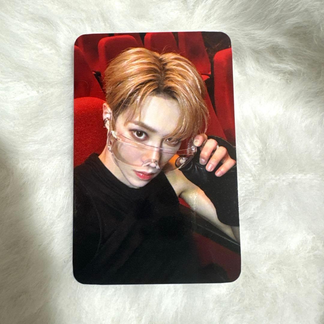 ALD1 ショーケース ショケ トレカ アルノ