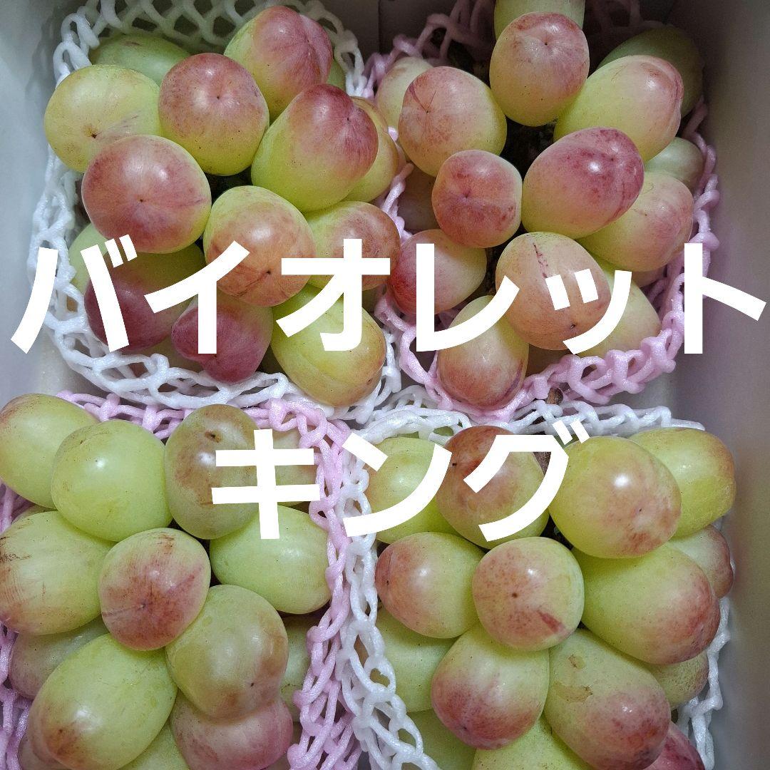 大房バイオレットキング四房