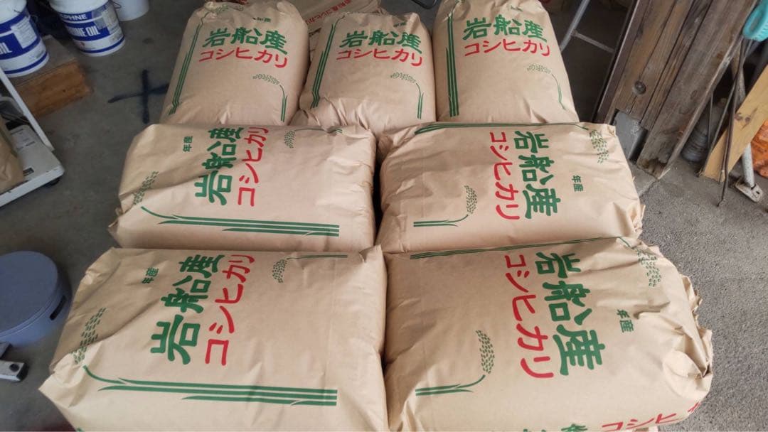 【新米】令和7年産　新潟県産　岩船産　コシヒカリ 10kg