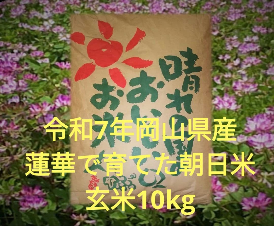 令和7年岡山県産　朝日米 玄米10キロ