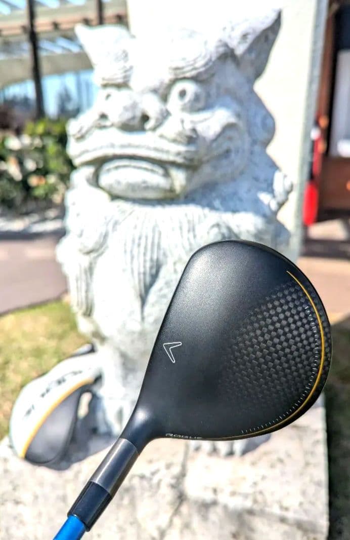 ローグ st MAX 5W NXブルー5S