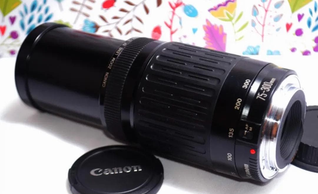 ❤️新品級❤️300mm超望遠レンズ❤️ CANON EF 75-300mm