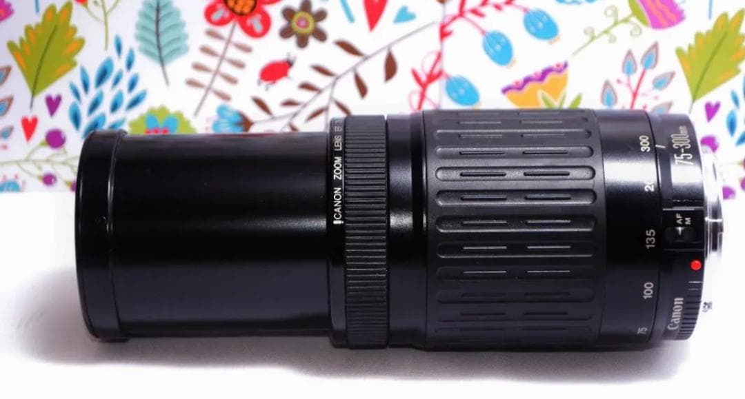 ❤️新品級❤️300mm超望遠レンズ❤️ CANON EF 75-300mm
