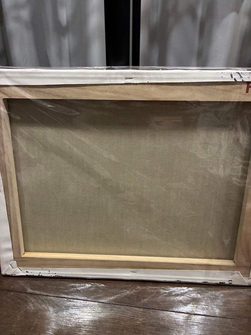 スプレーアートエデン キャンバス F6