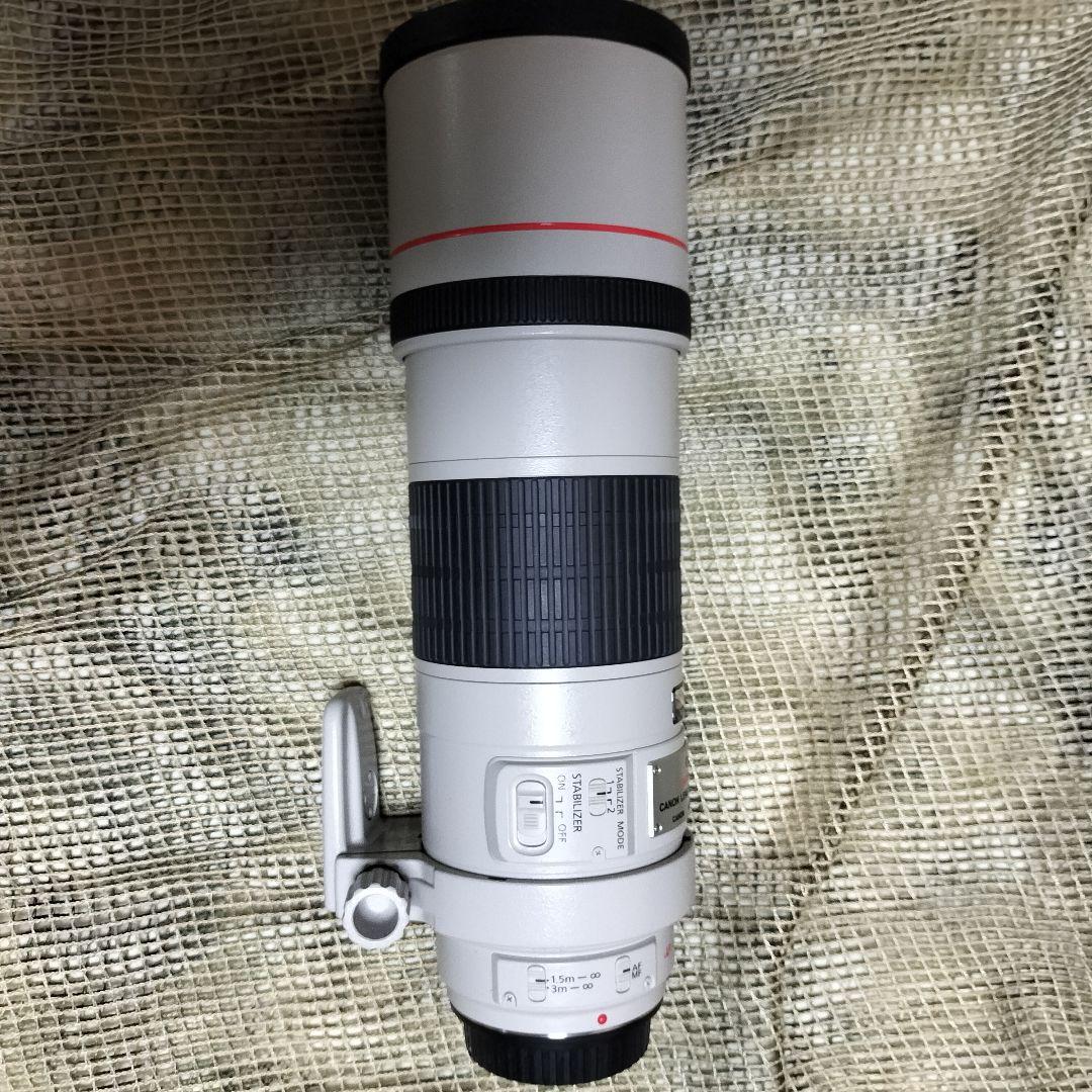 完全最終値下 美品 EF300mm F4L IS USM 迷彩スパッタ2種