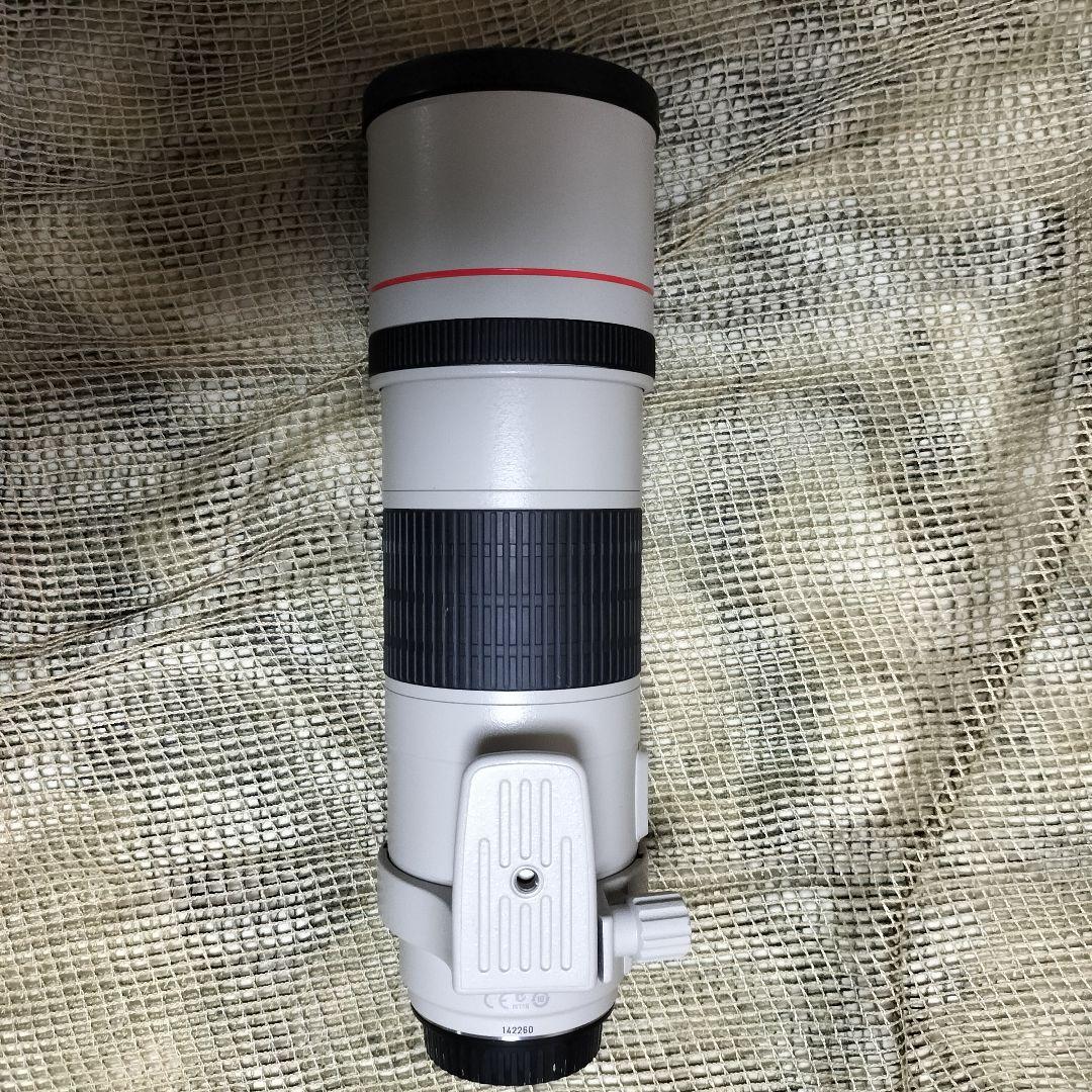 完全最終値下 美品 EF300mm F4L IS USM 迷彩スパッタ2種