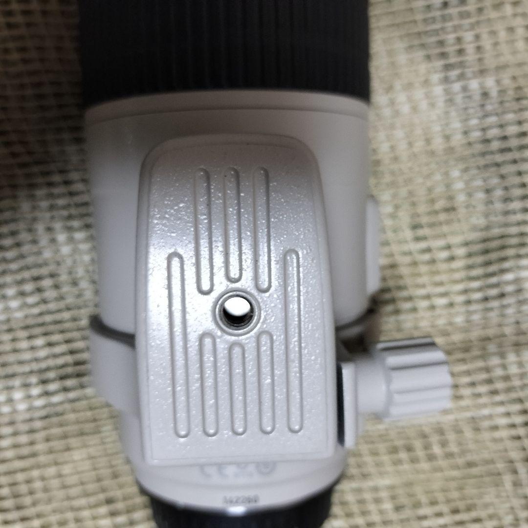 完全最終値下 美品 EF300mm F4L IS USM 迷彩スパッタ2種