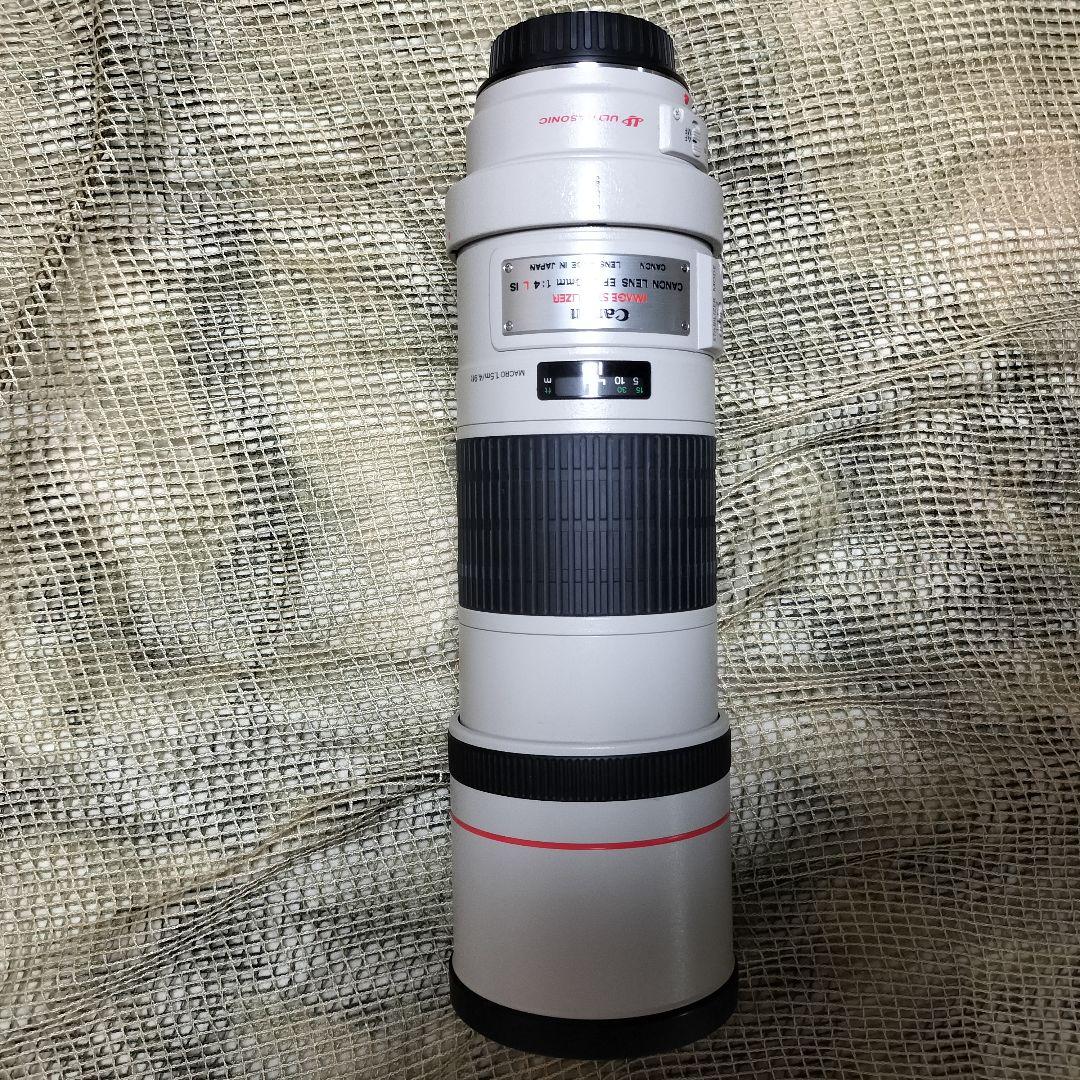 完全最終値下 美品 EF300mm F4L IS USM 迷彩スパッタ2種