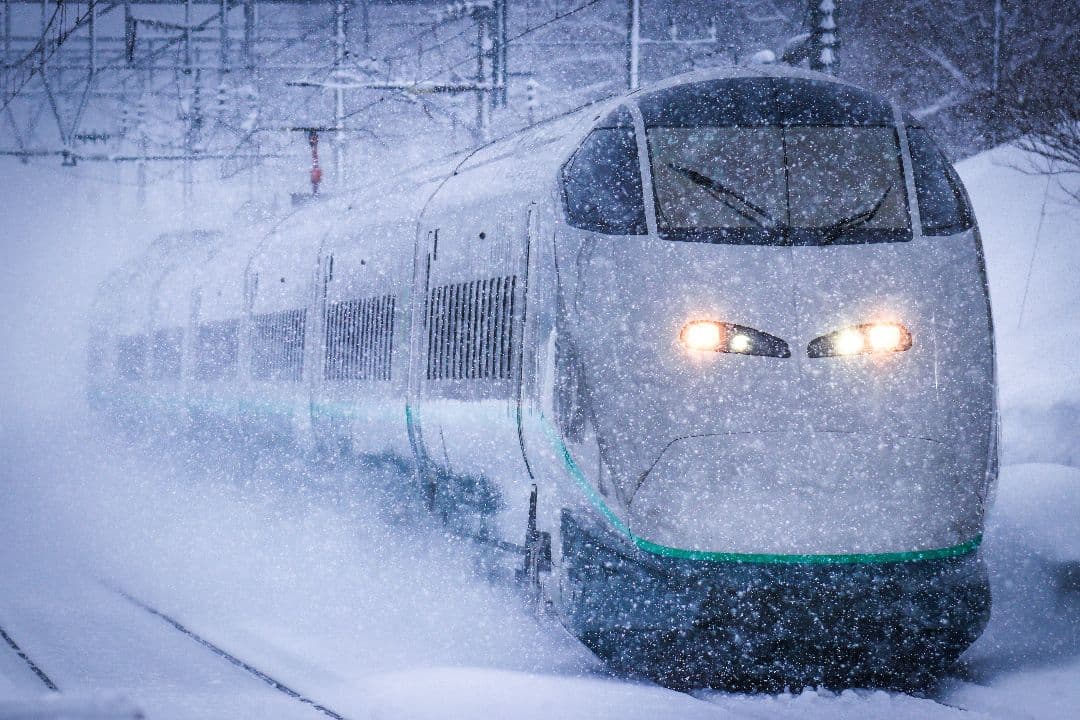 【作例あり】SIGMA 60-600mm F4.5-6.3 DG OS HSM