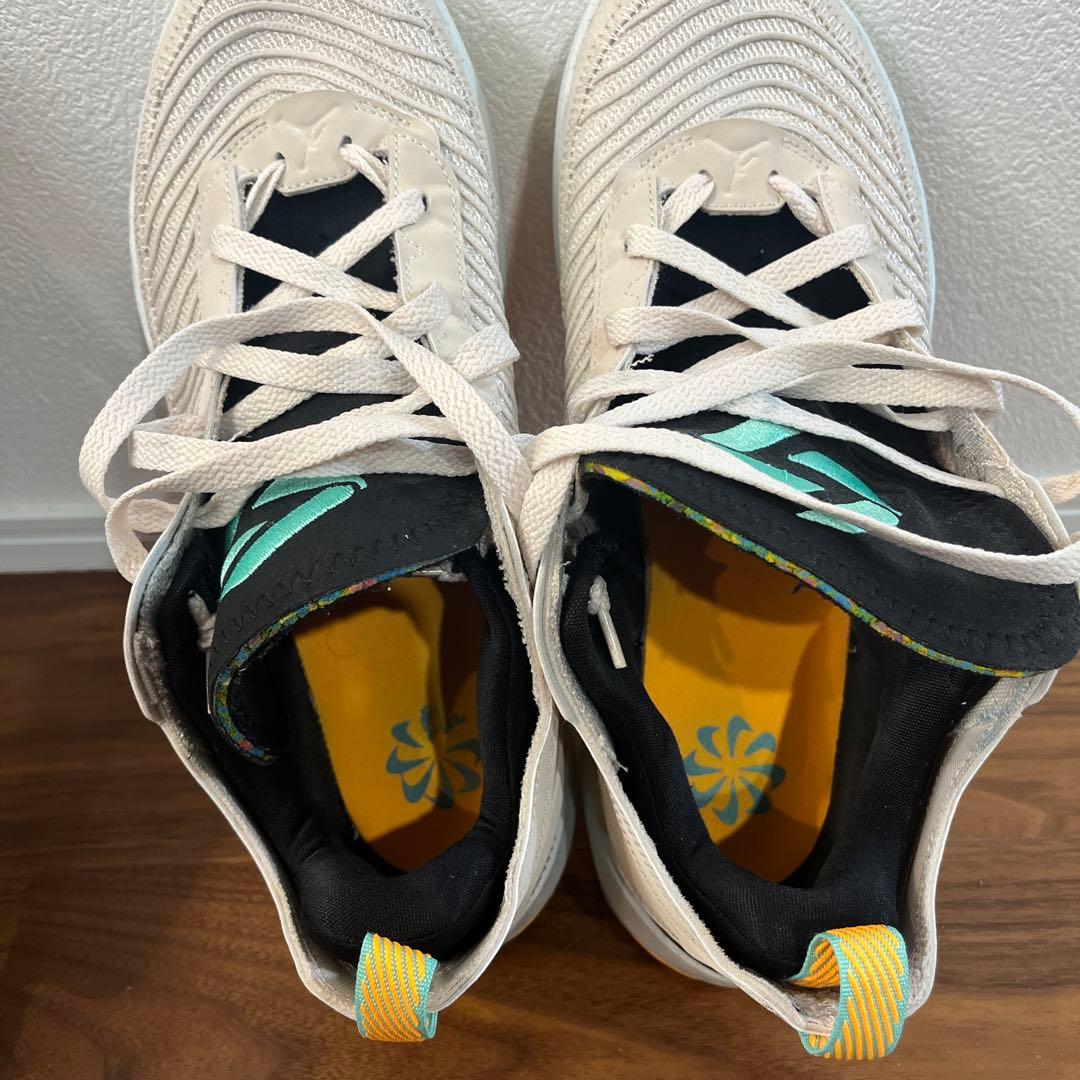 【美品】ジョーダンルカ1ネクストネイチャーPF 28cm