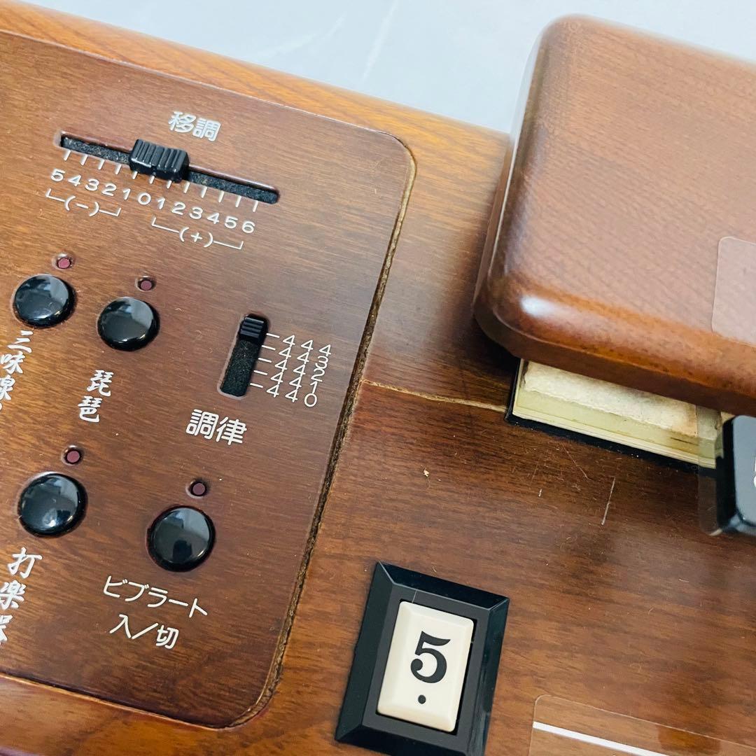 SUZUKI スズキ 和楽 電子大正琴 TES-100