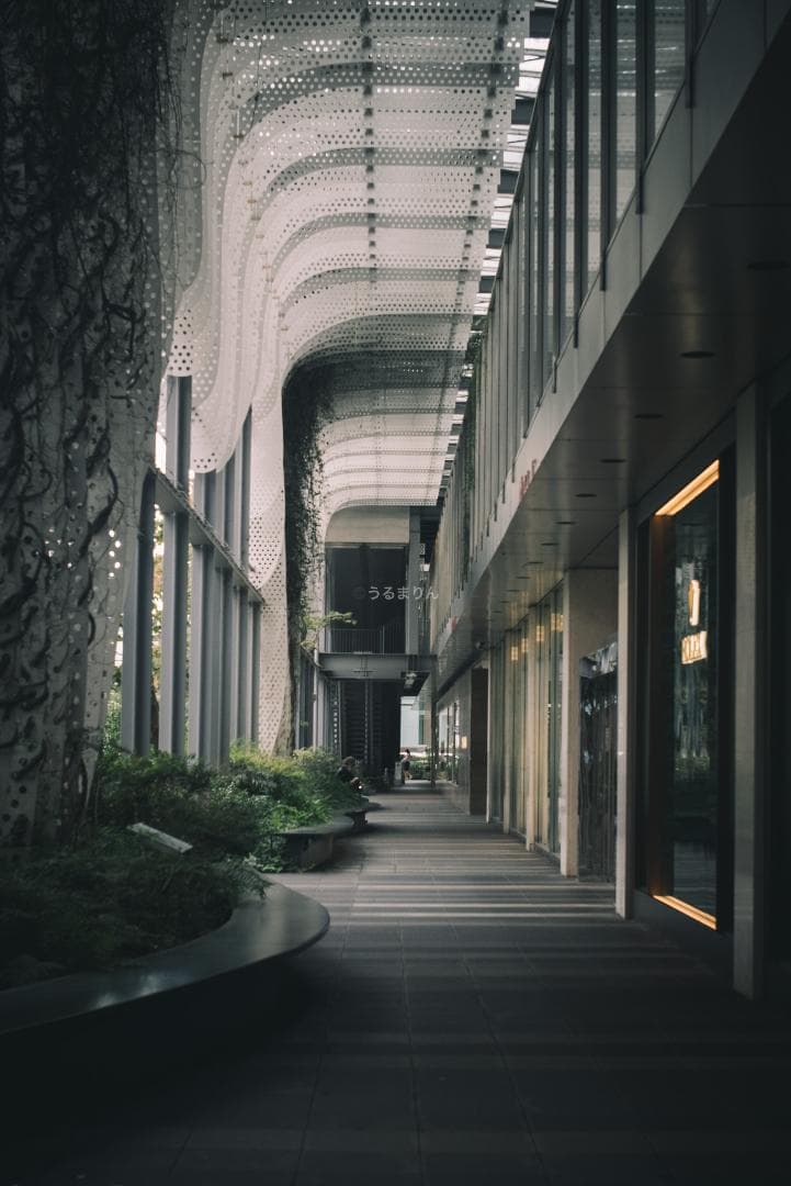 ライカの神マクロ！Leica Elmar 65mm F3.5 Visoflex