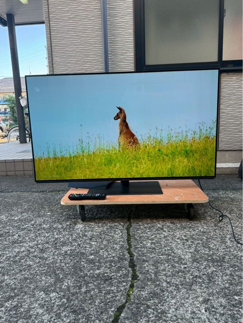 Panasonic/有機ELテレビ/TV/55V2019年　TH-55FZ950