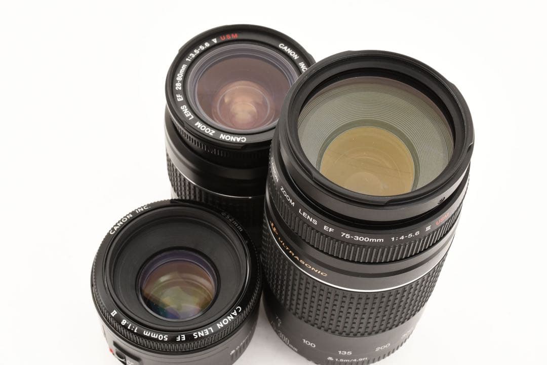 保証付き/Canon EOS 5D Mark IV 標準&望遠&単焦点セット