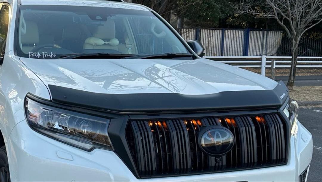 プラド 150 後期 バグガード LADDER FRAME マットブラック