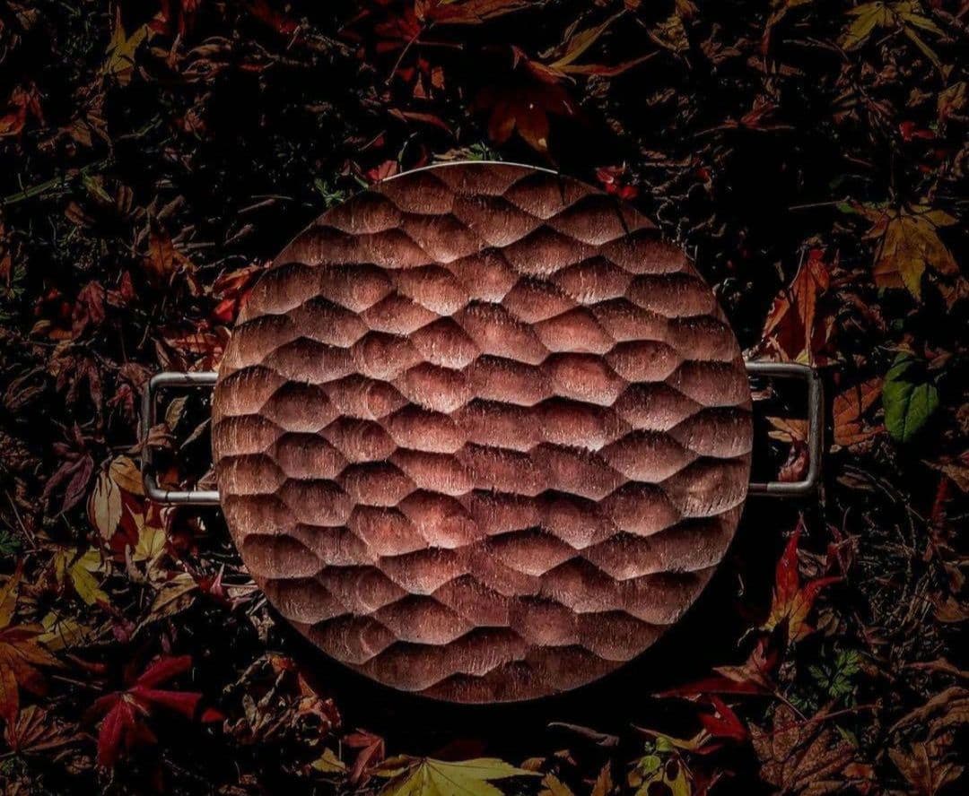 fragment　yanplaboar ステンレスver. ケース付き