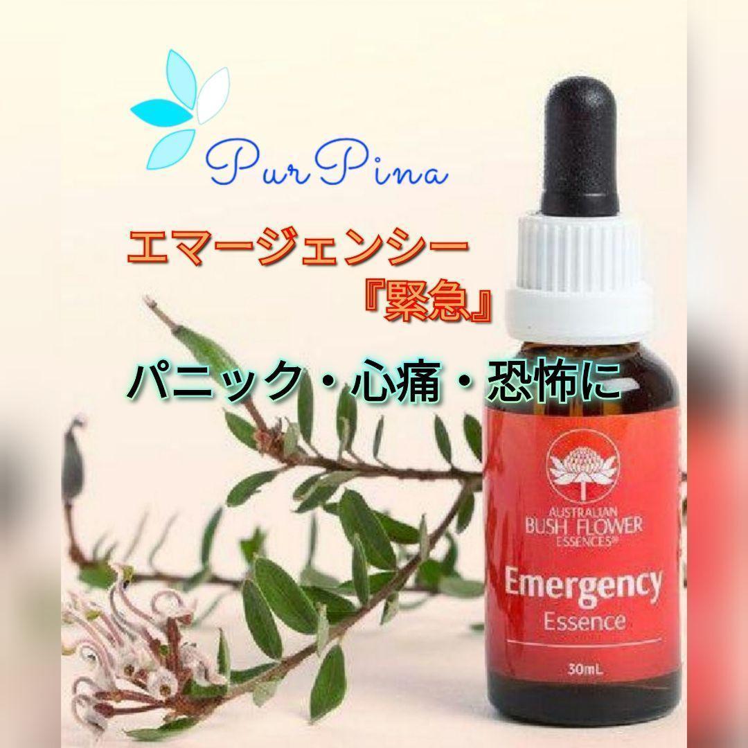 【専用】ケアラー『介護者』 オーストラリアンブッシュ フラワーエッセンス　他