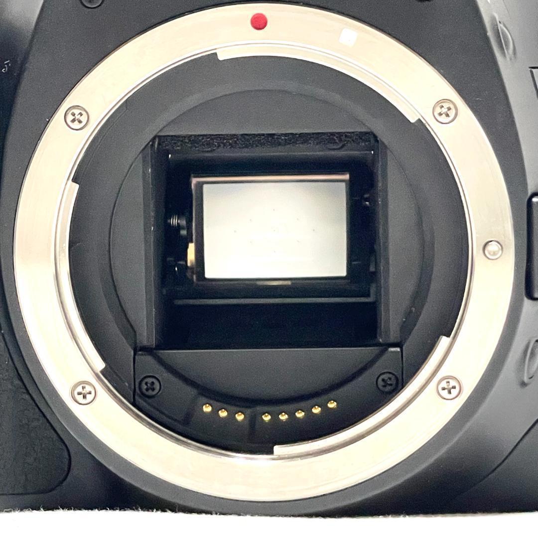 望遠デビュー❣️ Canon EOS Kiss X4 Wズームレンズセット