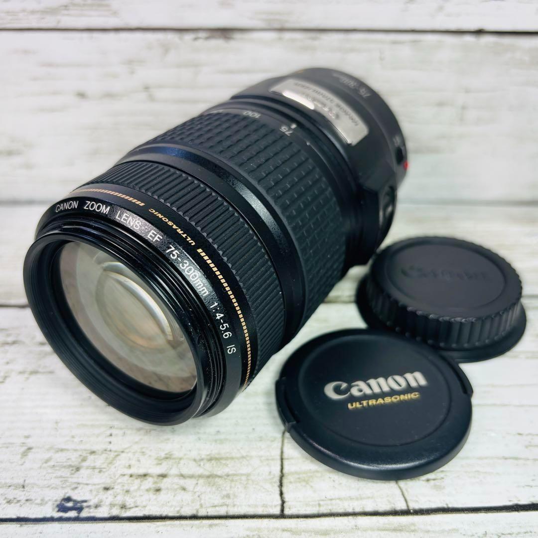 【動作良好】Canon EF 75-300mm F4-5.6 IS USM