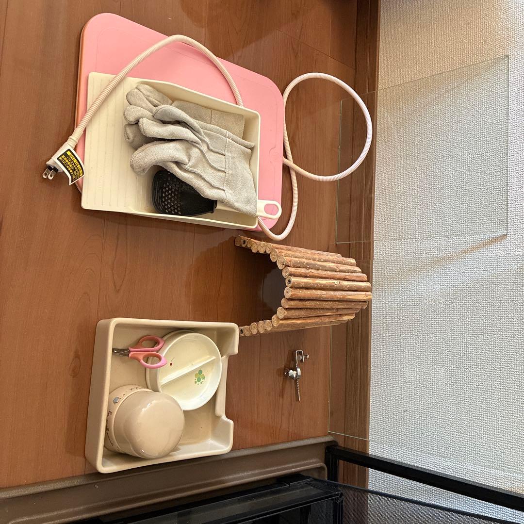 中型飼育ケージ 組み立て式 黒　ガラス製