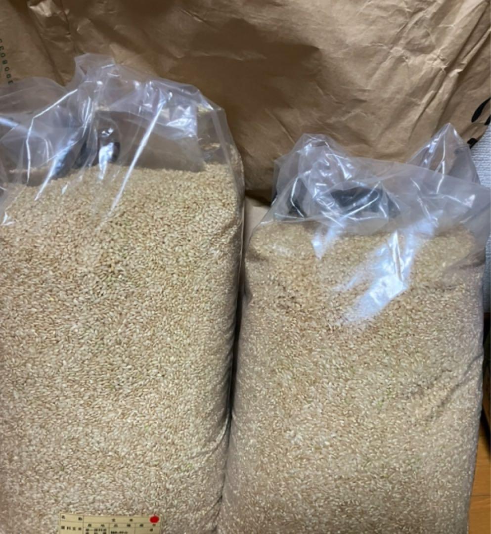 ゆうあす山形県20キロ