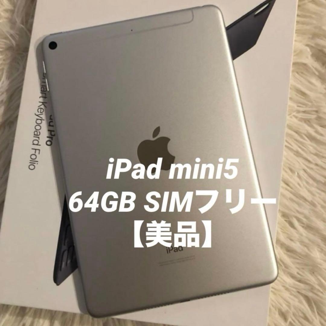 【完動品】iPad mini5 64GB SIMフリー 【すぐ発送】