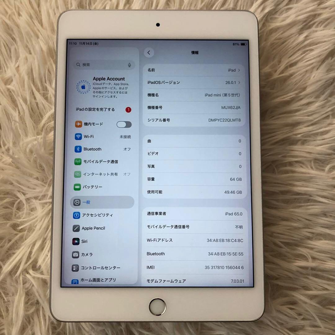 【完動品】iPad mini5 64GB SIMフリー 【すぐ発送】