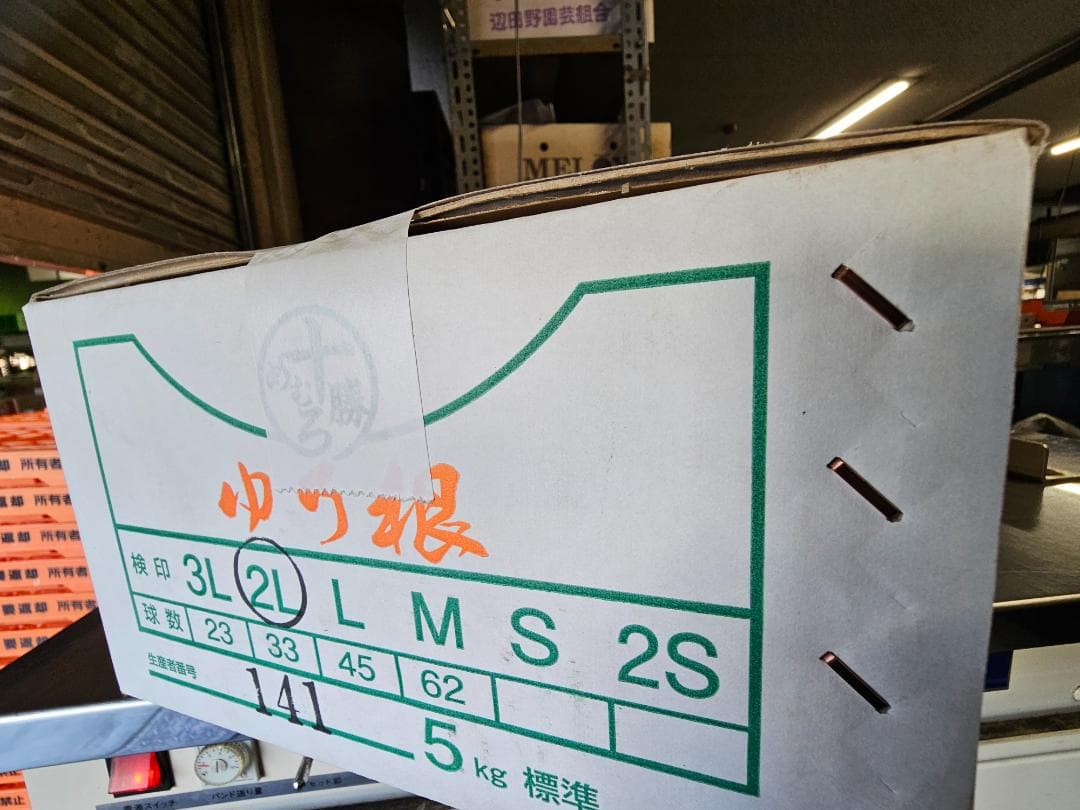 百合根　ゆりね　特大2L　33個入り　5Ｋ