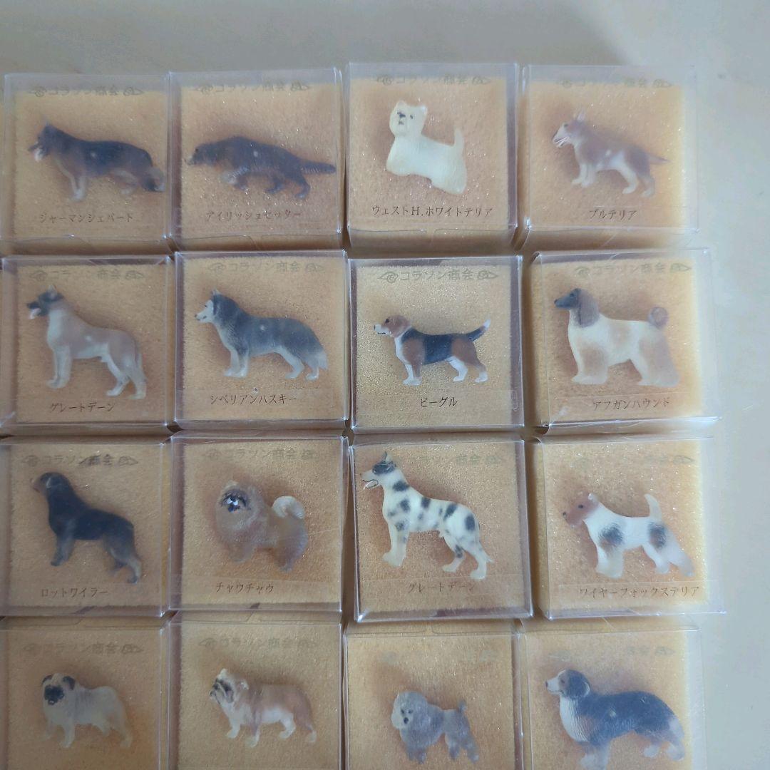 a様　コラソン商会　犬シリーズ　犬　バッジ　犬ピンバッジ　まとめ売り　30個