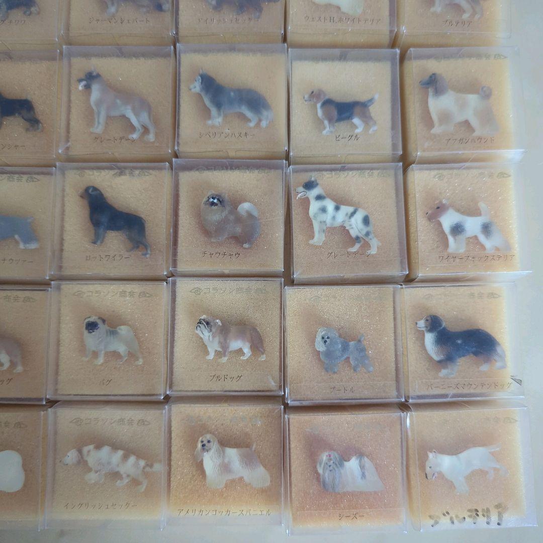 a様　コラソン商会　犬シリーズ　犬　バッジ　犬ピンバッジ　まとめ売り　30個