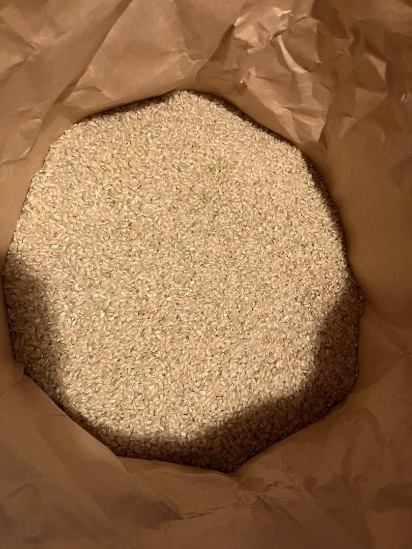 【農家直送】きぬむすめ玄米20kg 令和7年岡山県津山市産