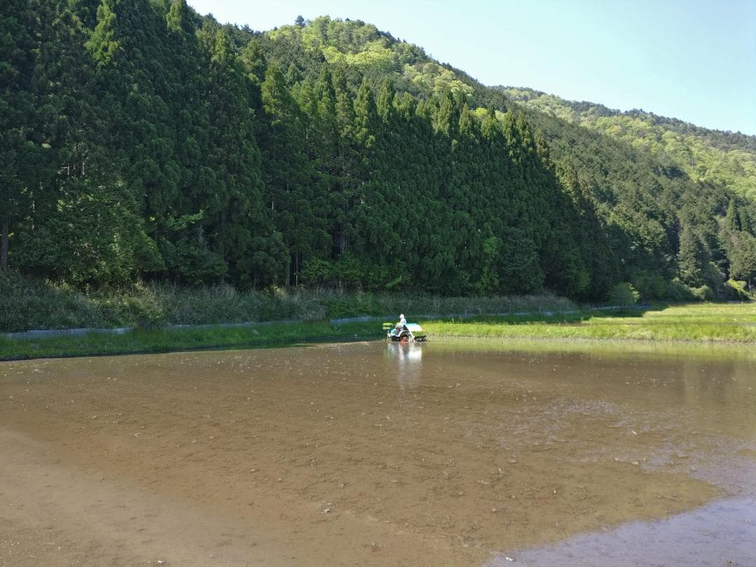 【農家直送】きぬむすめ玄米20kg 令和7年岡山県津山市産