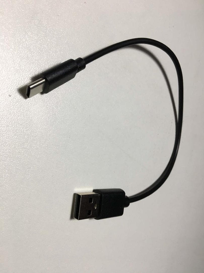 Victor EH-W10 みみ楽 集音器 送料込み！