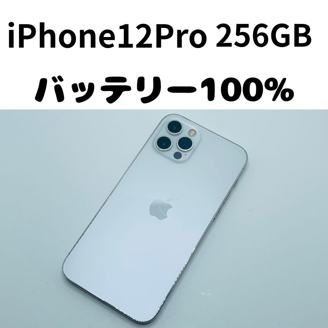 【格安美品】iPhone 12Pro 256GB simフリー本体 283