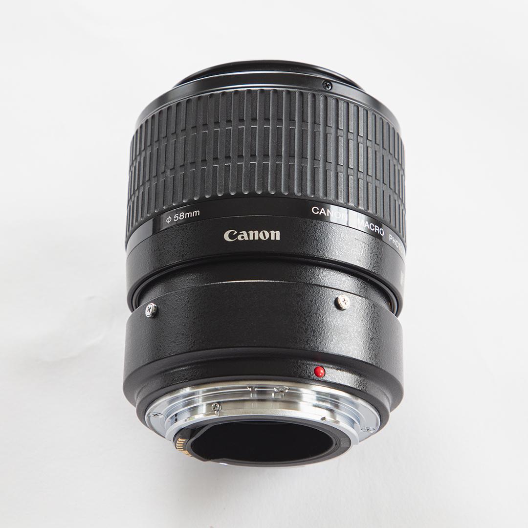 canon キヤノン MP-E65mm F2.8 1-5×マクロフォト