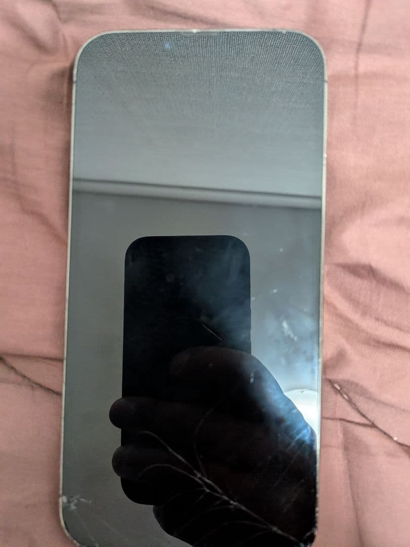 iPhone 13 Pro max グラファイト　本体 256GB 　即日発送！