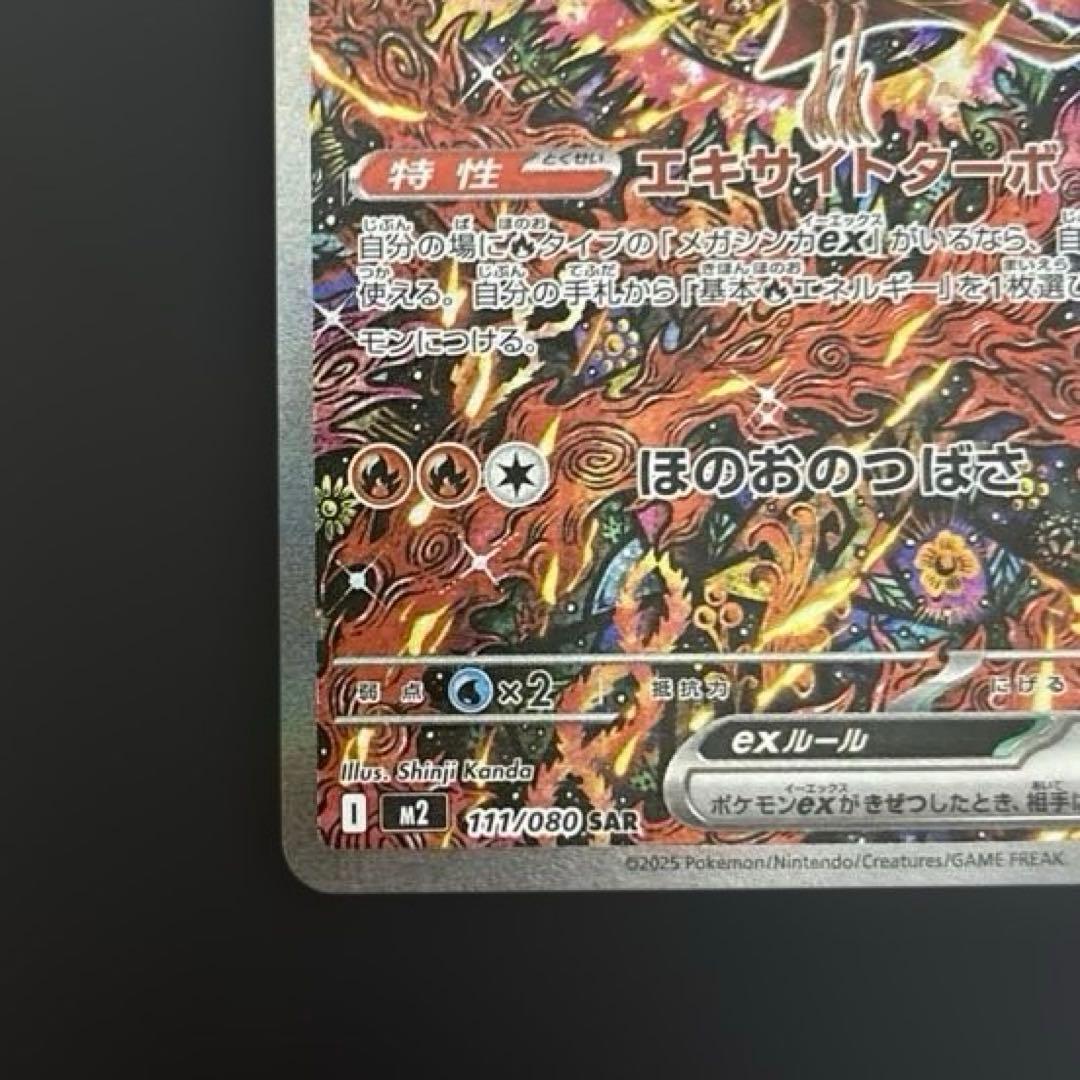 オドリドリex sar 3枚