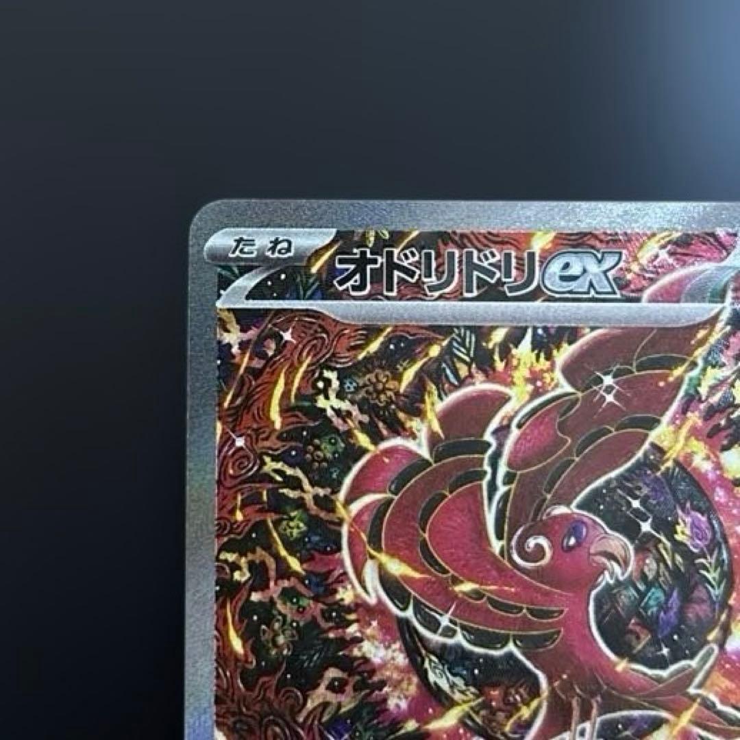 オドリドリex sar 3枚